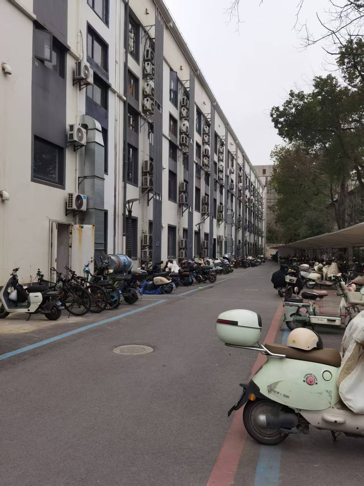 未来己来 复旦创智社 - 图片 4